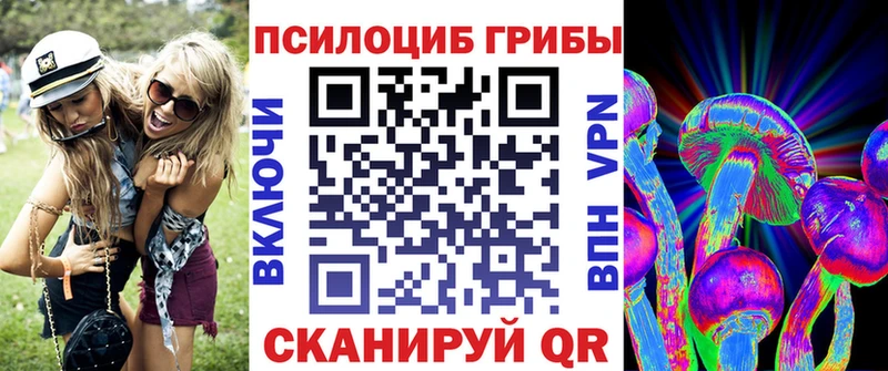 купить  цена  Берёзовка  Галлюциногенные грибы ЛСД 
